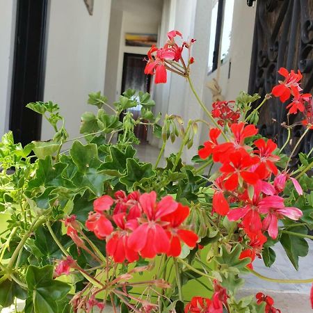Il Casale Di Zi'Leo Bed & Breakfast Campomarino  Luaran gambar